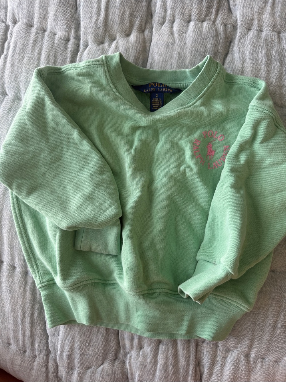 Polo by Ralph Lauren Kids Mint Green Pullover Sweatshirt with Pink Logo
